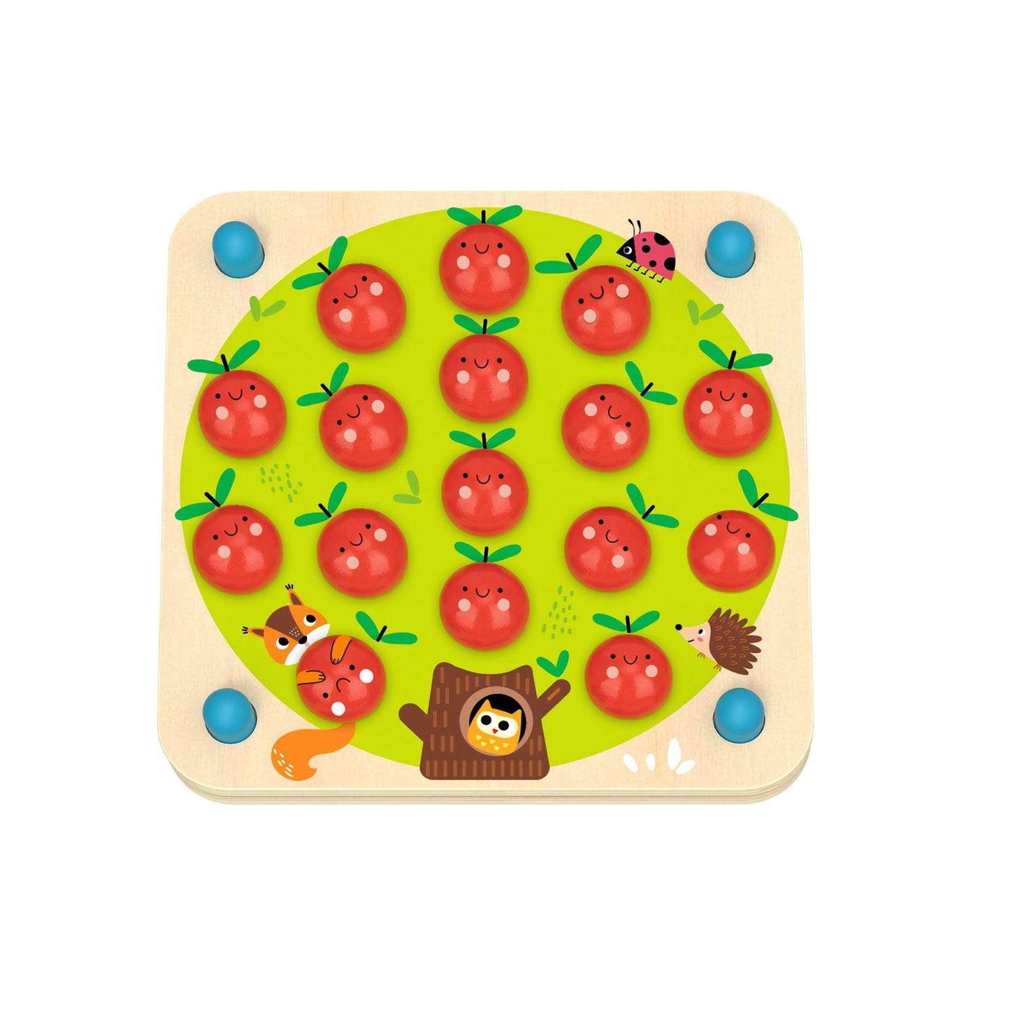 23 Pieces Apple Themed Memory Game