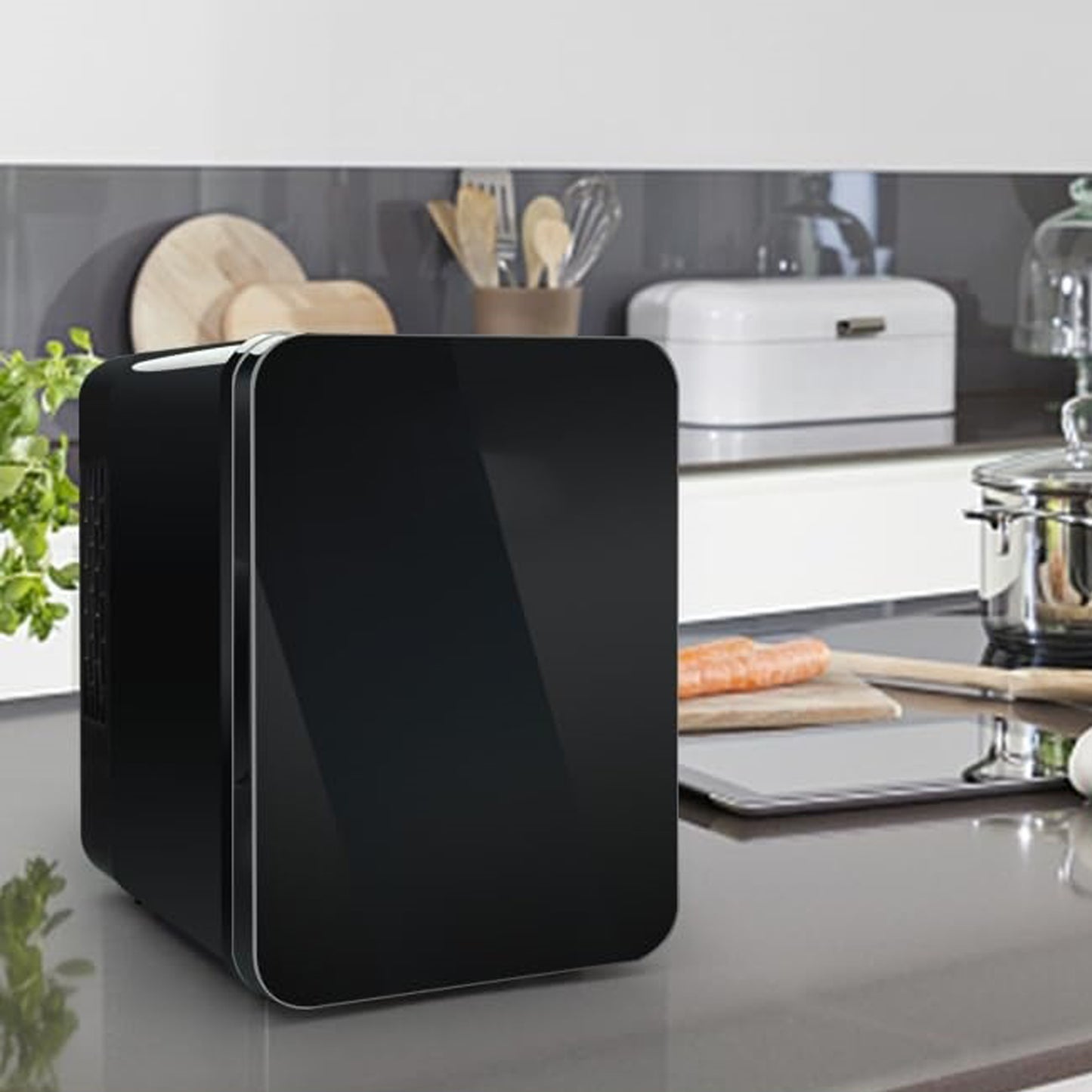 Mini 4L Cooler Fridge & Warmer