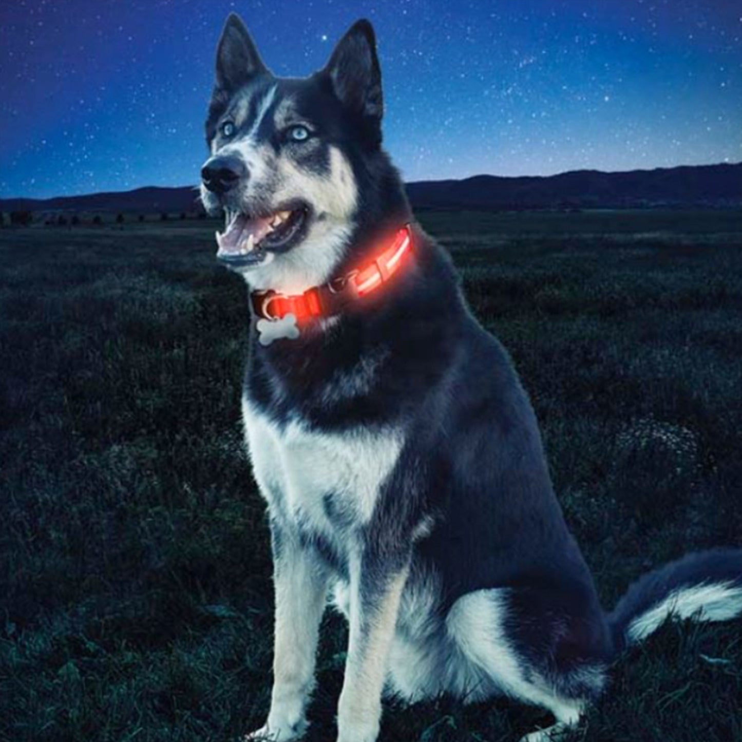 Rechargeable LED Dog Leash 35 inches, USB Rechargeable Flashing Lights Leash with 3 Modes