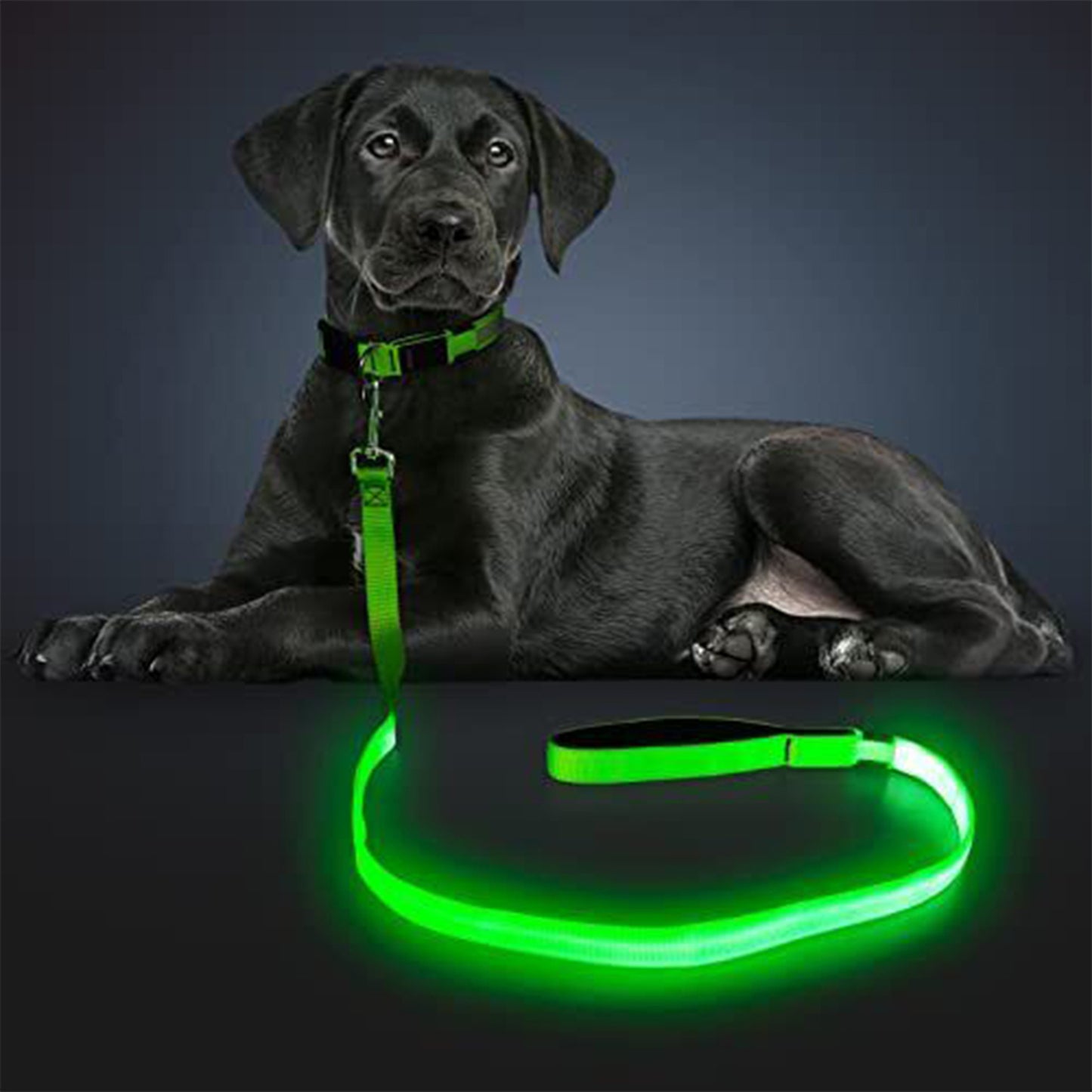 LED Dog Collar, USB Rechargeable Flashing Lights Dog Harness