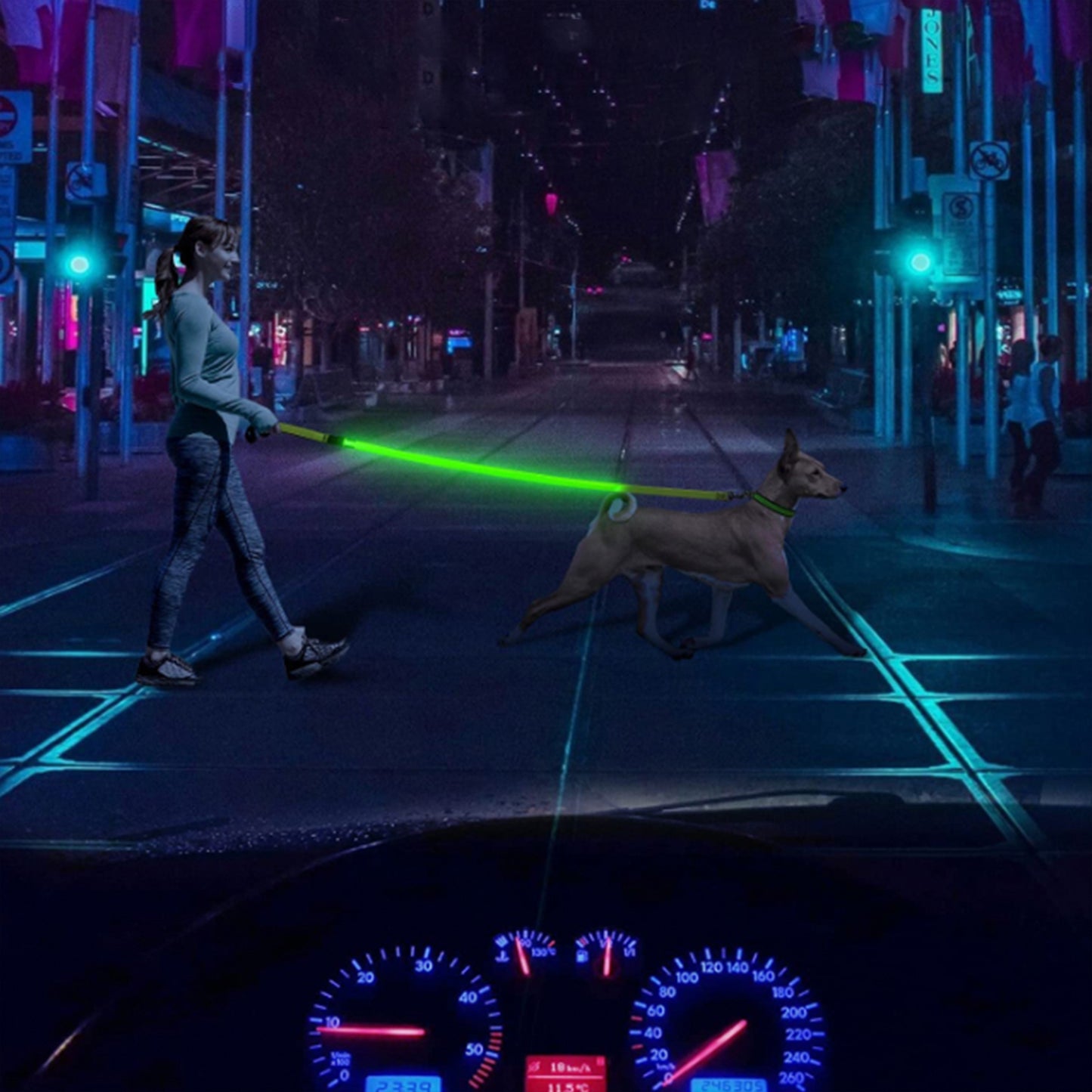 LED Dog Collar, USB Rechargeable Flashing Lights Dog Harness