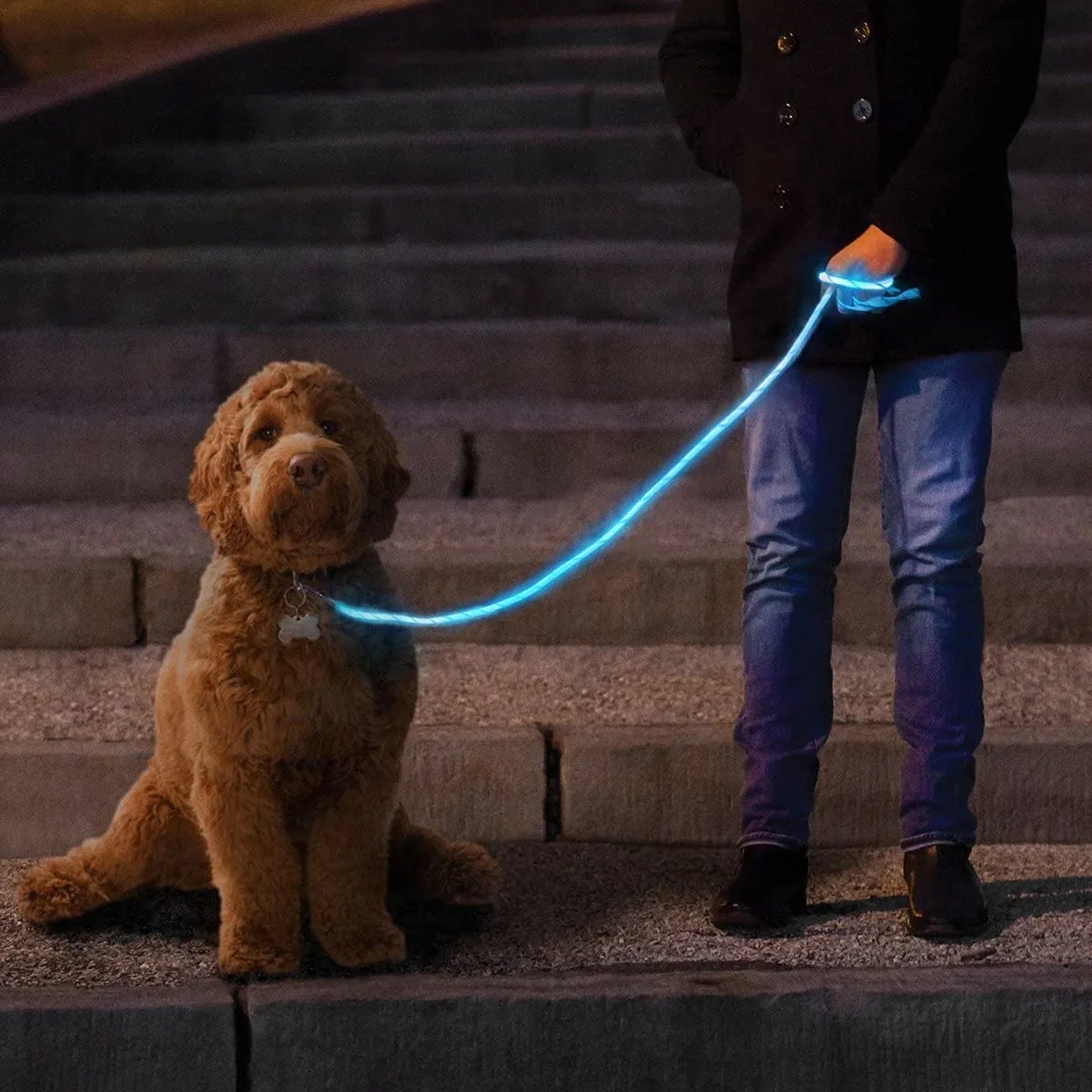 LED Dog Collar, USB Rechargeable Flashing Lights Dog Harness