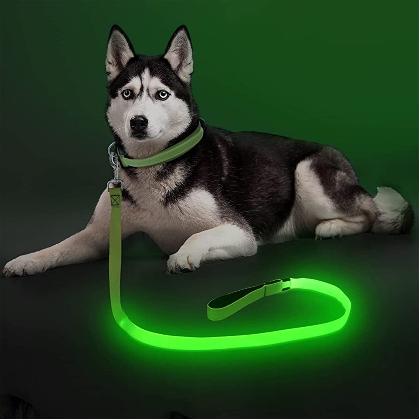 LED Dog Collar, USB Rechargeable Flashing Lights Dog Harness