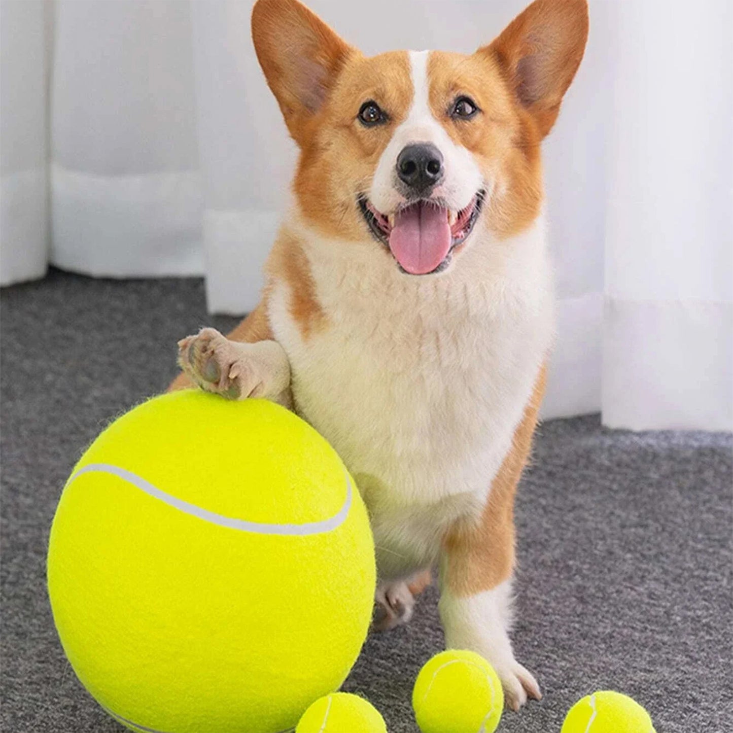 Pet Tennis Ball - 9.5" - Durable Rubber and Felt Material