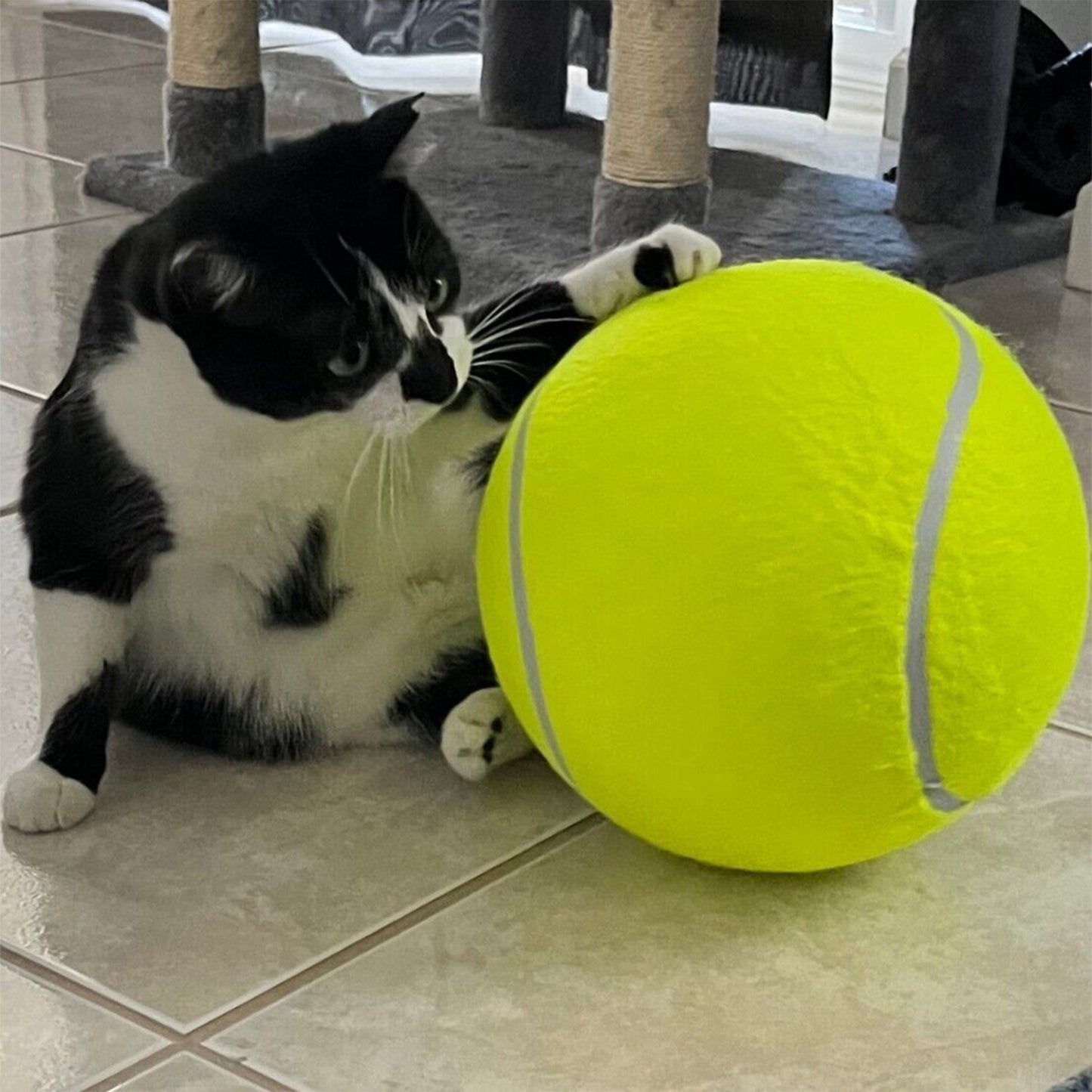 Pet Tennis Ball - 9.5" - Durable Rubber and Felt Material