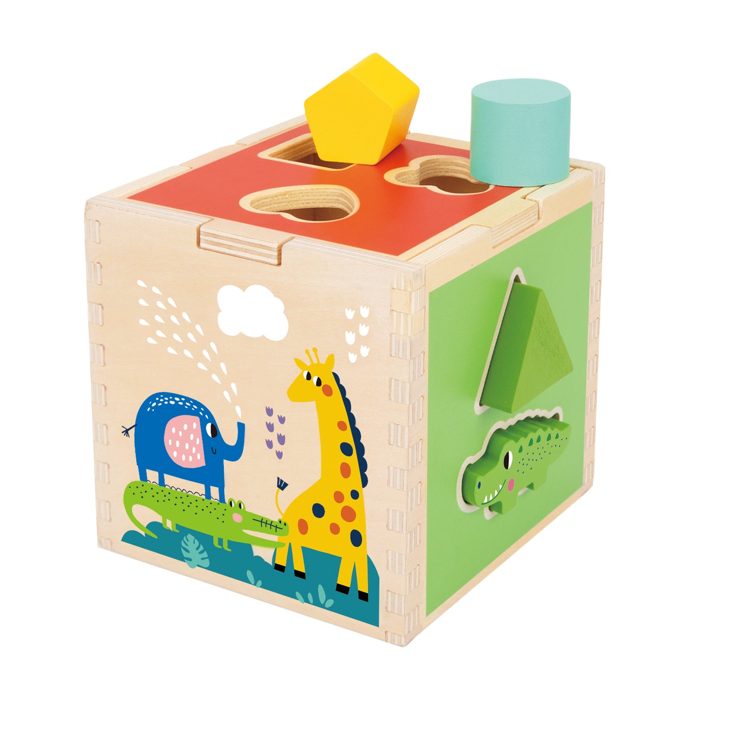 Zummy 11 Pieces Wooden Animal Shape Sorter for Aged 12+ Kids