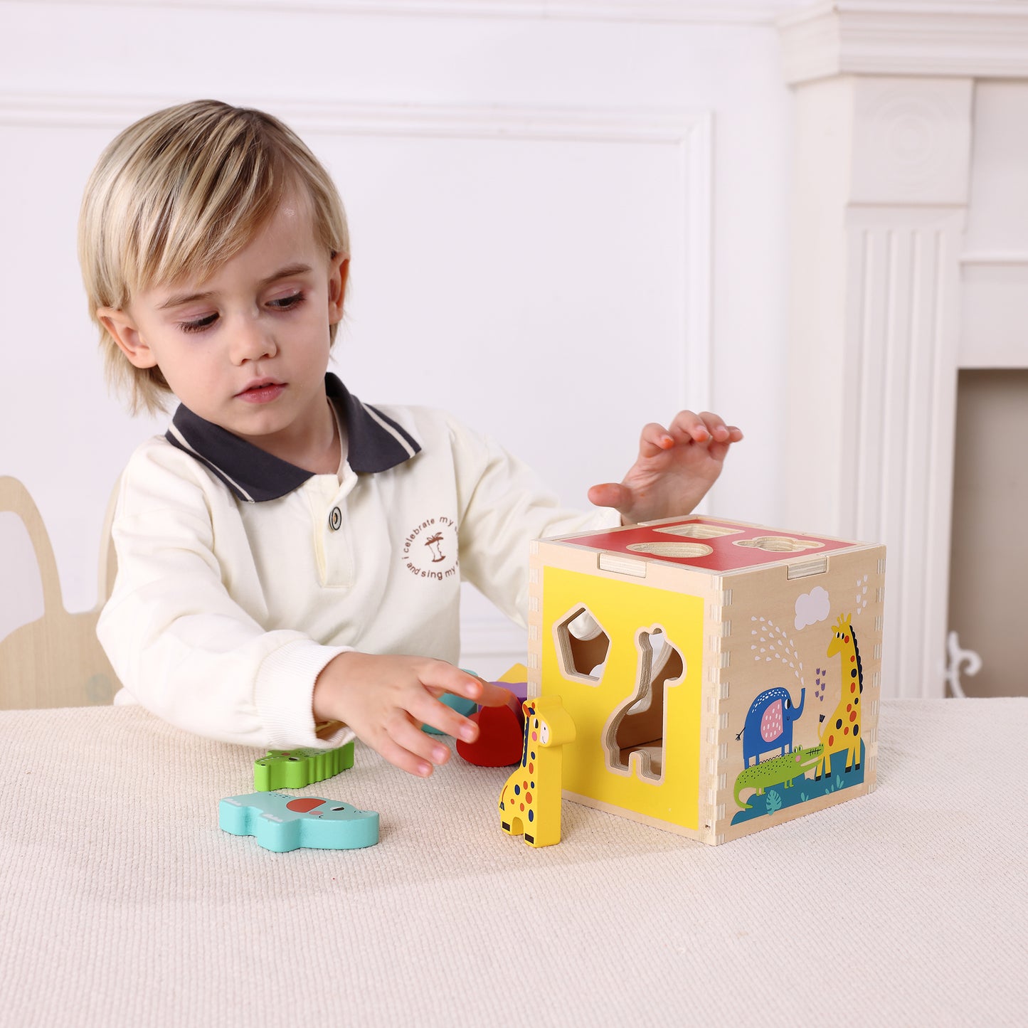 Zummy 11 Pieces Wooden Animal Shape Sorter for Aged 12+ Kids