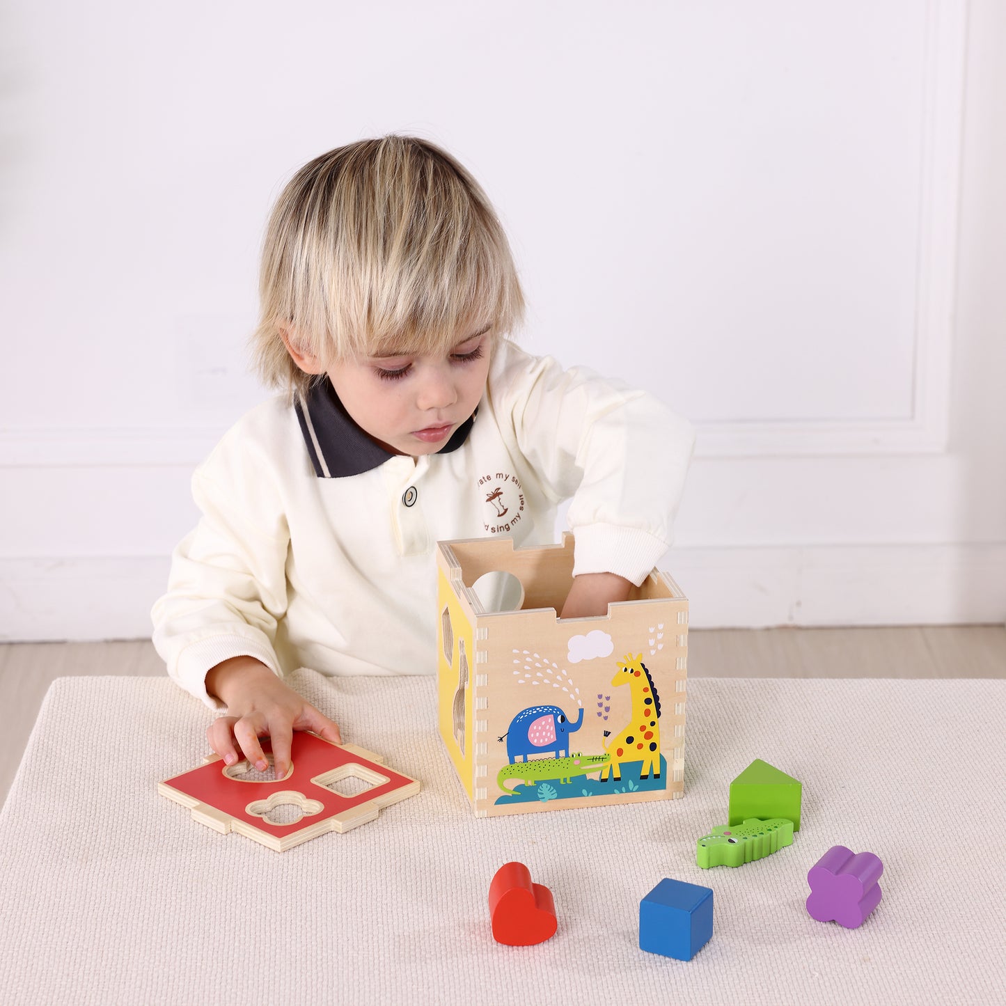 Zummy 11 Pieces Wooden Animal Shape Sorter for Aged 12+ Kids