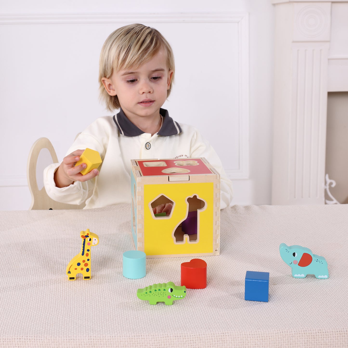 Zummy 11 Pieces Wooden Animal Shape Sorter for Aged 12+ Kids