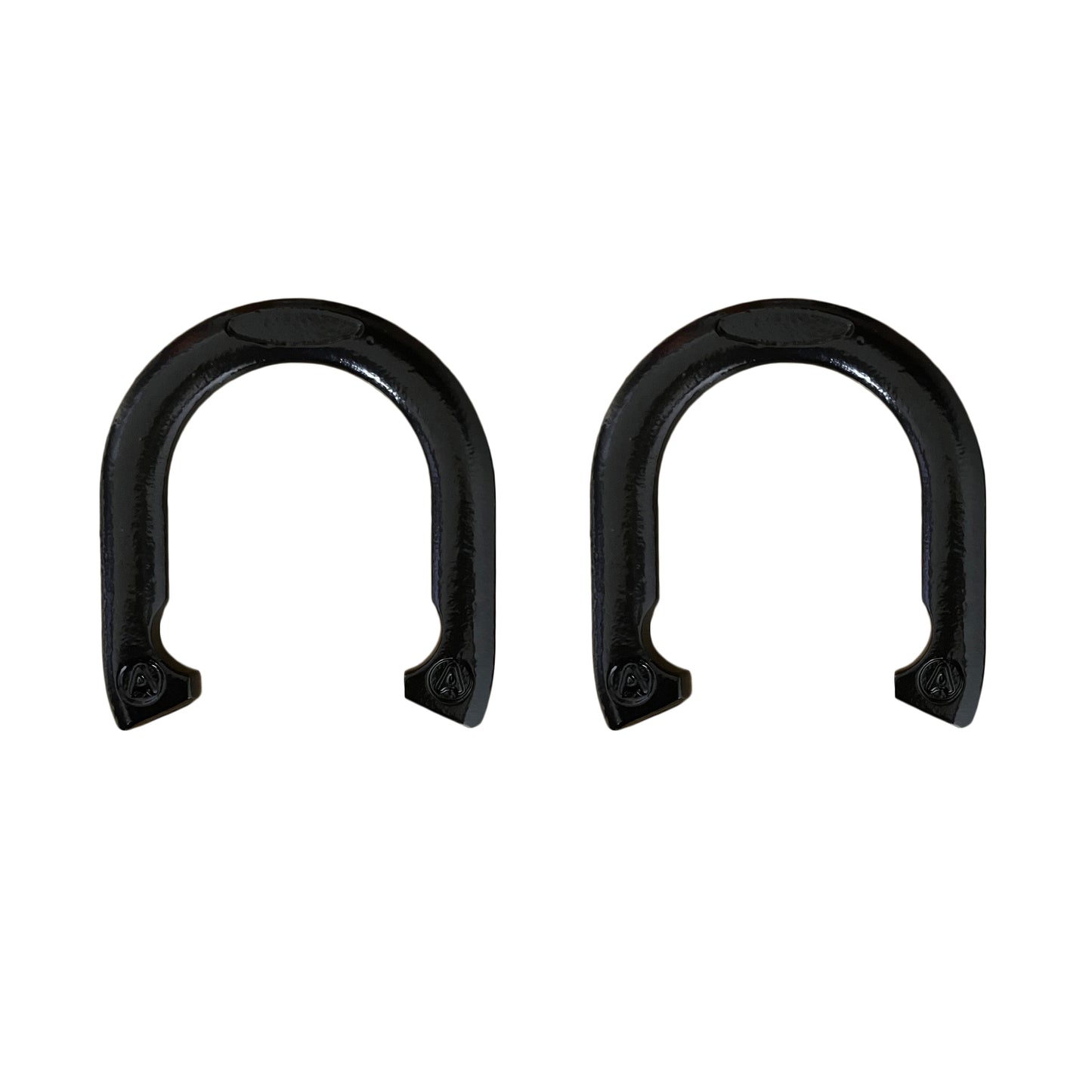 Metal Horseshoes Set with Carrying Case