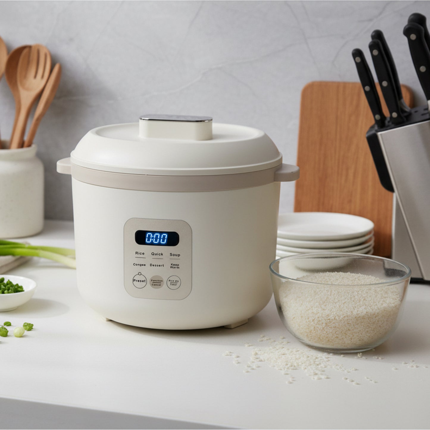 QuickBite 1.6L Rice Cooker,