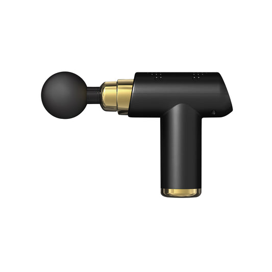 PrestigePro 6 Speed Massage Gun