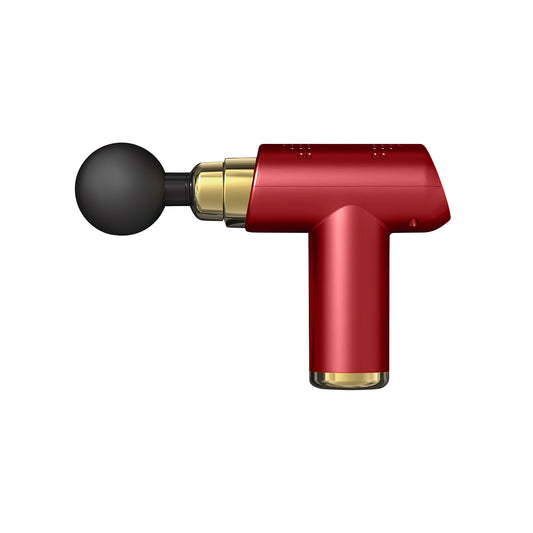 ZTECH PrestigePro 6 Speed Massage Gun with 4 Attachments